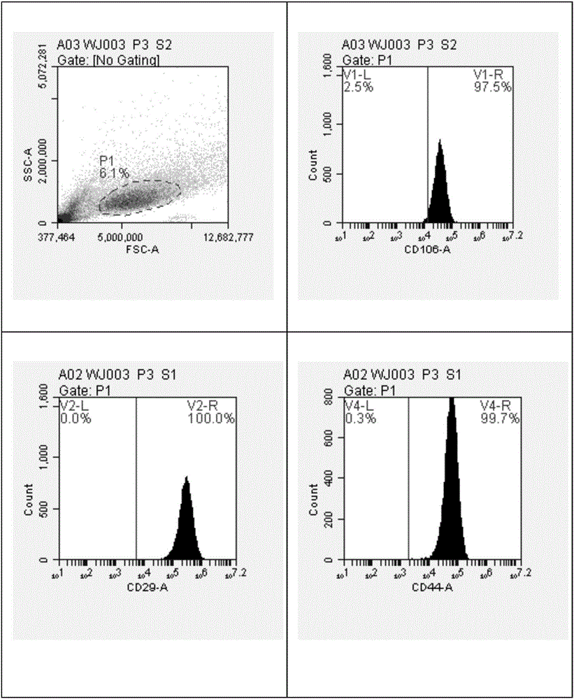 Composition and application thereof