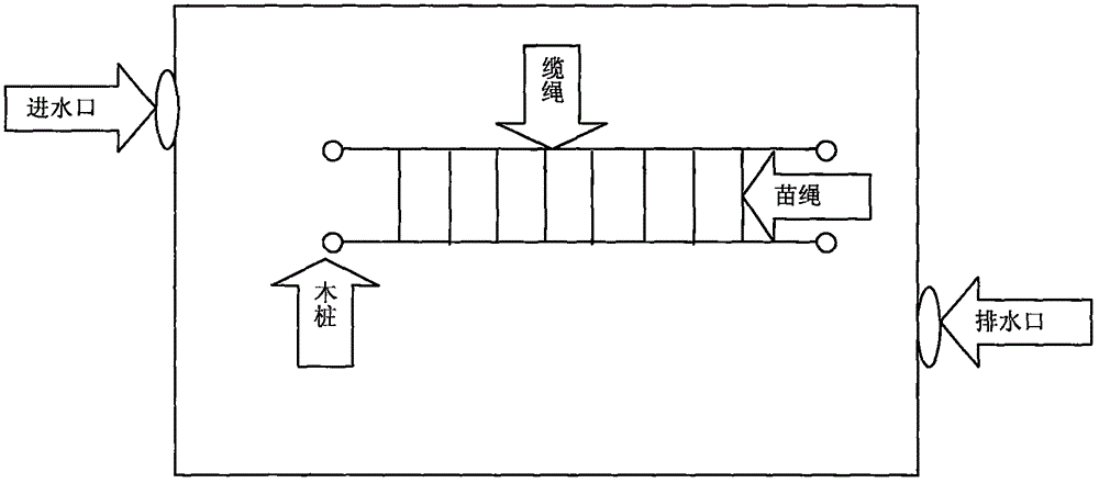 Asparagus pond culture method