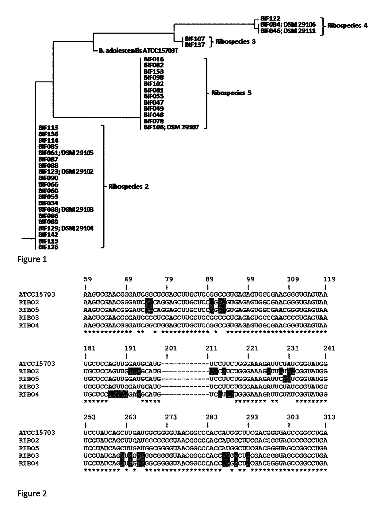 Probiotic <i>Bifidobacterium adolescentis </i>strains