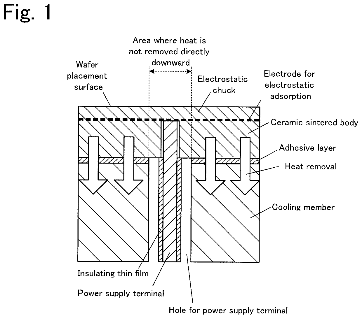 Wafer placement table