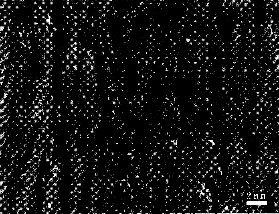 Method for depositing thermal barrier coating of porous dentrite ceramic layer by electron beam physical vapor deposition process