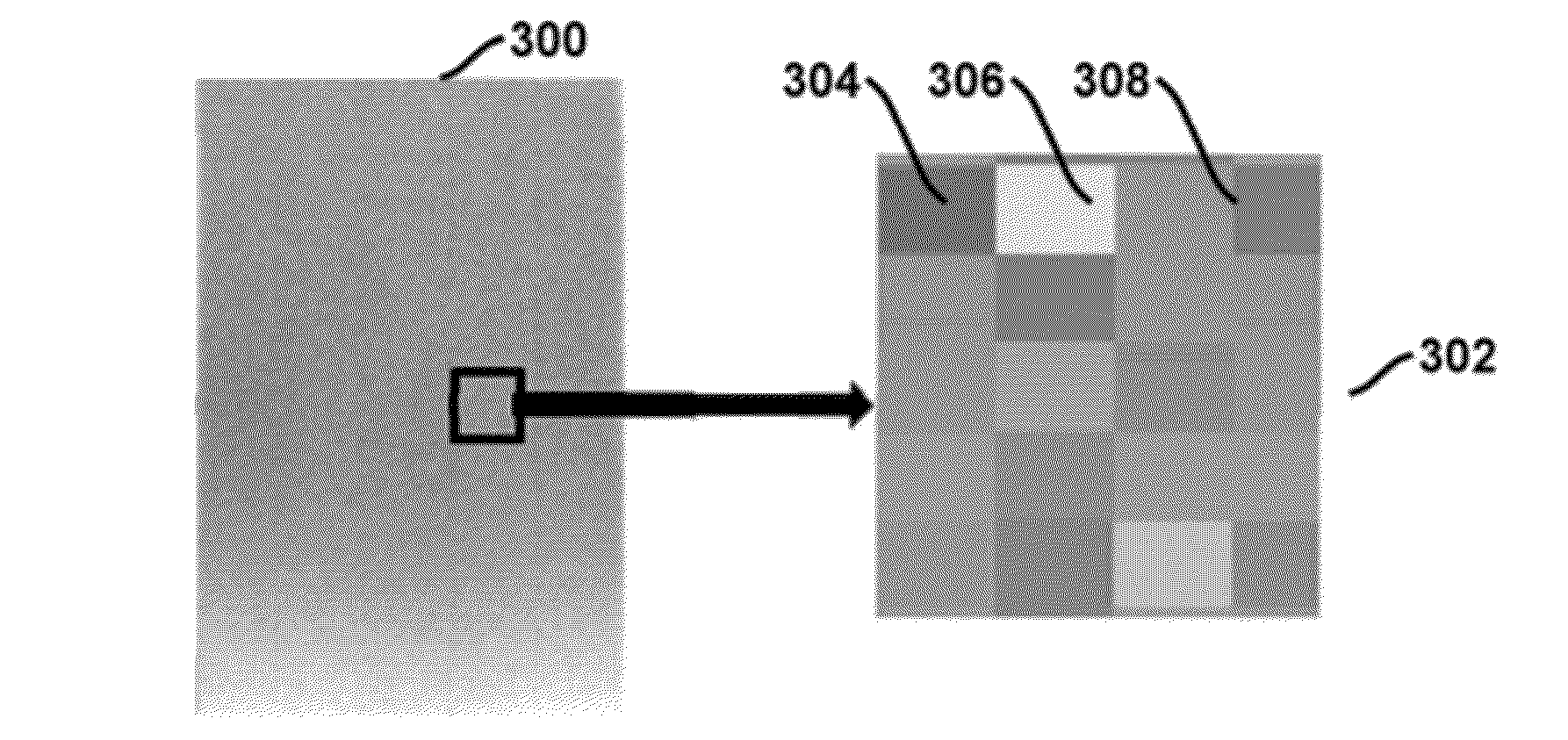 Method and apparatus for authenticating swipe biometric scanners