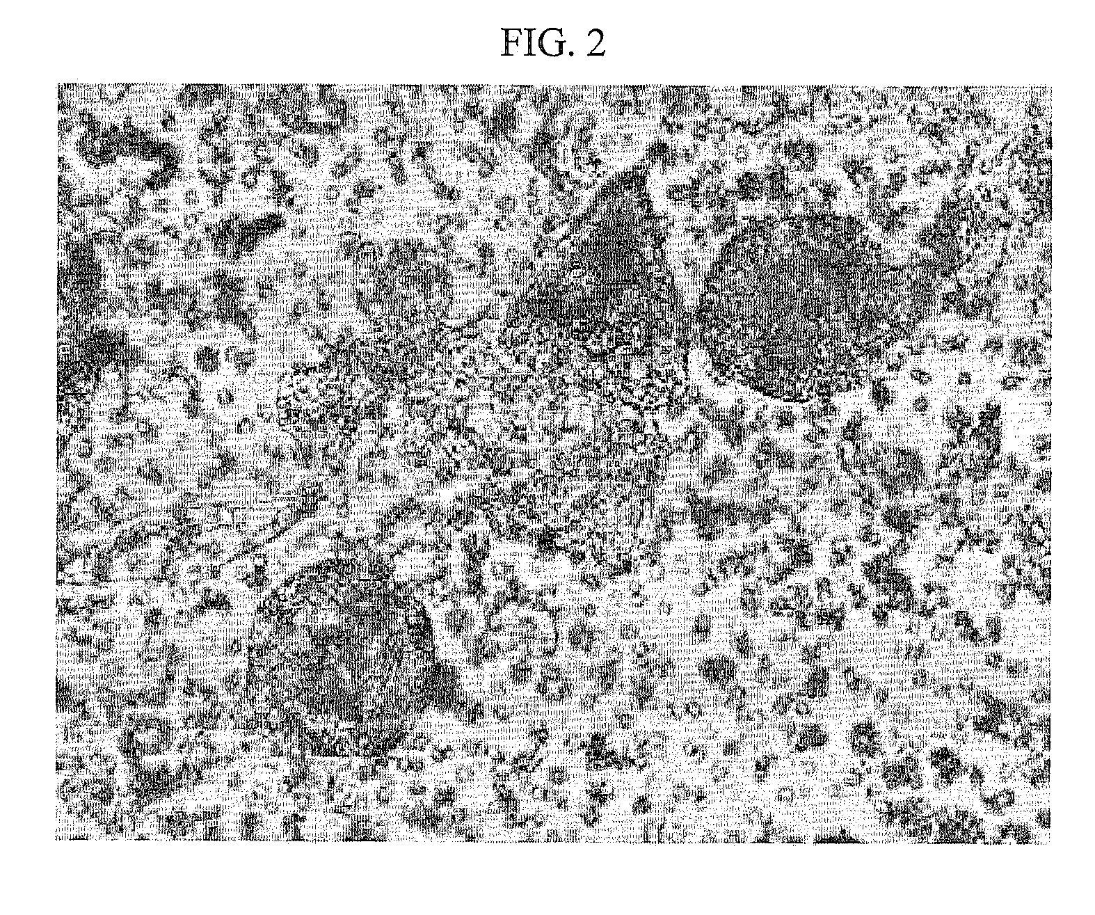 Scaffolds increased specific gravity for cell culture and method for manufacturing thereof