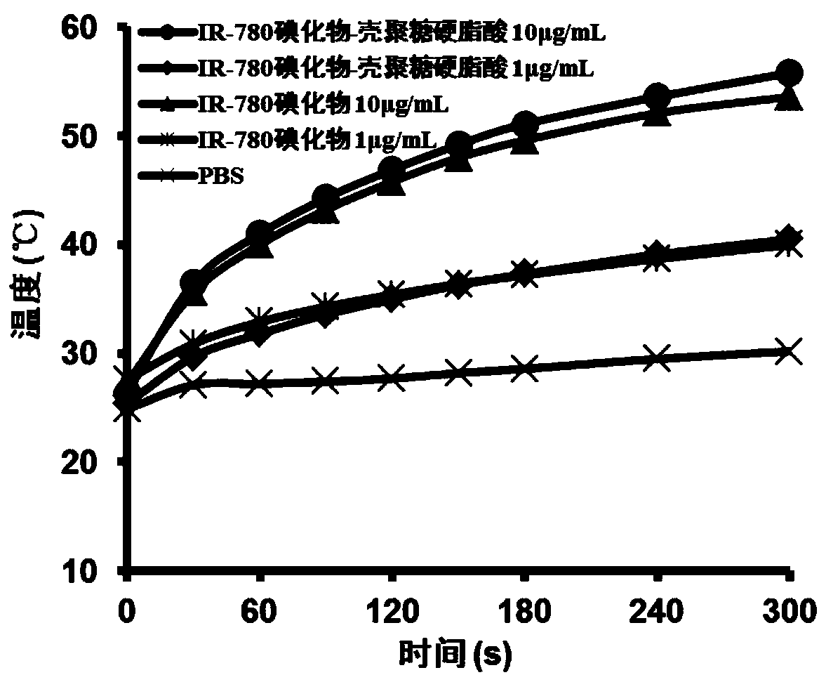 A kind of ir-780 iodide-chitosan stearic acid graft and its preparation and application