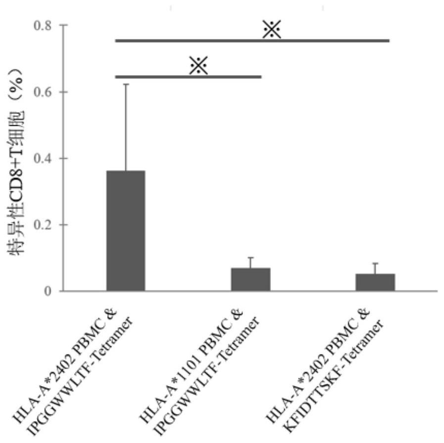 Mycobacterium tuberculosis antigen protein Rv1808 and application of epitope peptide thereof