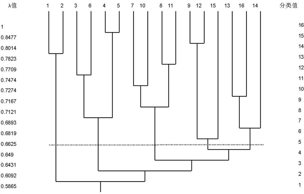 A Method for Dividing Complex Process Modules Oriented to Mass Customization