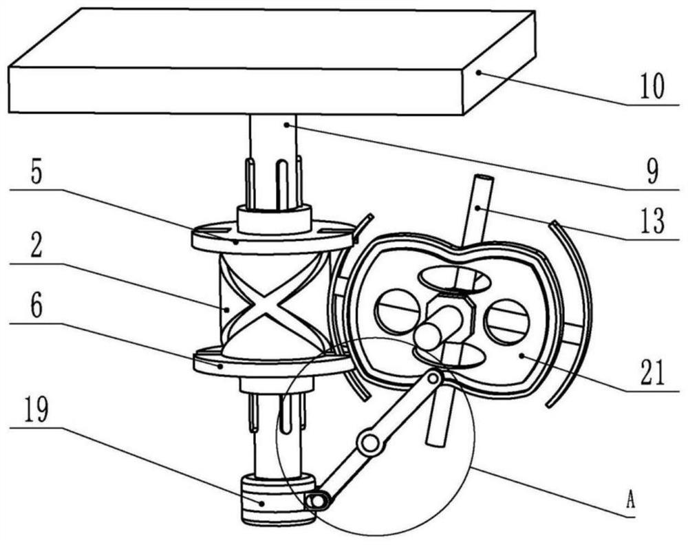 Medical surgery auxiliary device for clinical treatment of tumors in department of gynecology