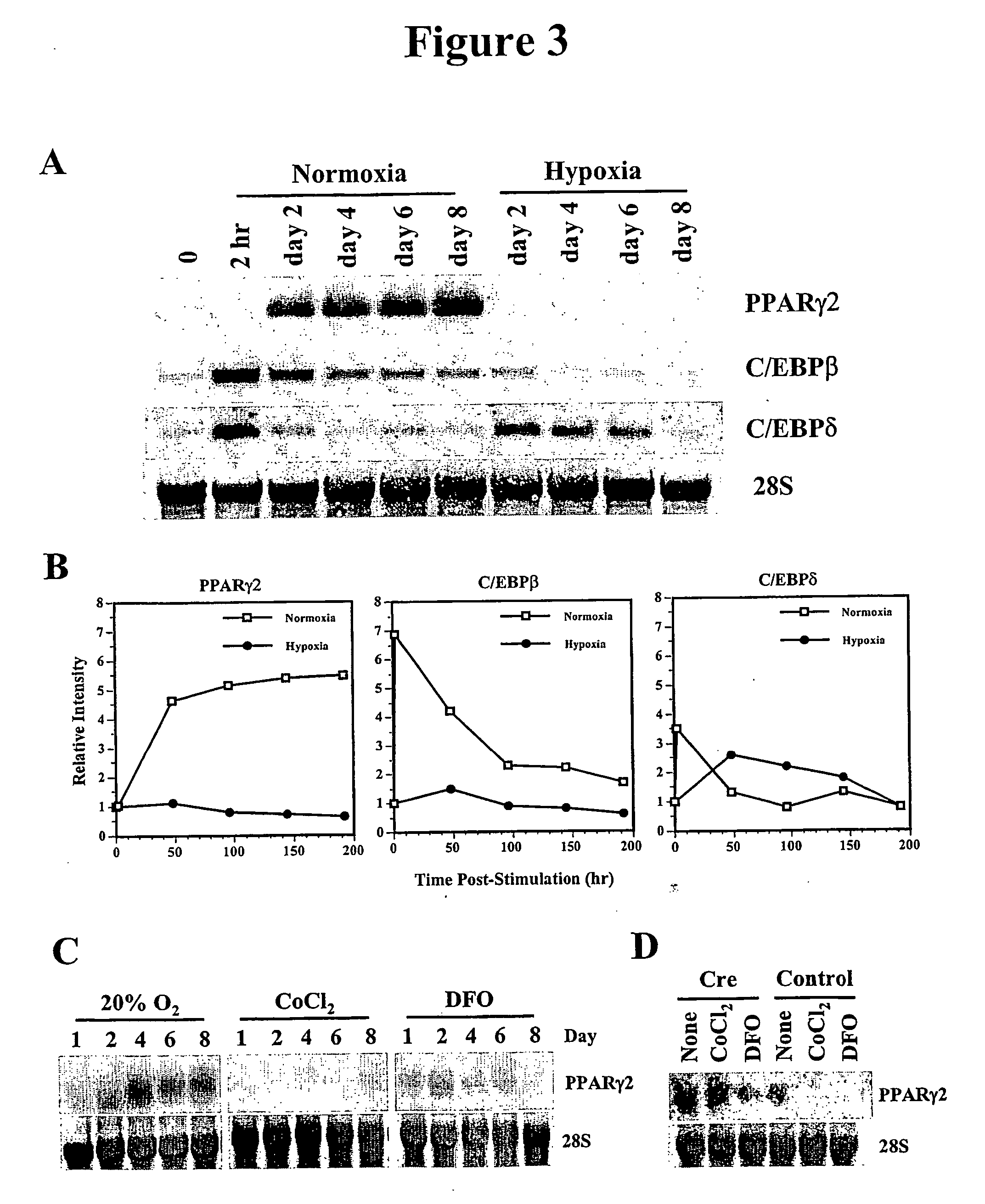 Methods and compositions for regulating adipogenesis