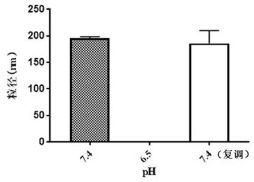 Amphiphilic graft copolymer and application thereof