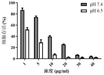 Amphiphilic graft copolymer and application thereof