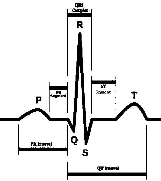 Neurocognitive resource coordination-based child concentration training system and method