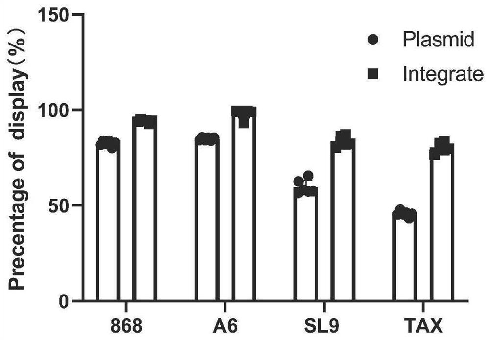 Method for rapidly identifying high-affinity TCR antigenic cross-reaction activity