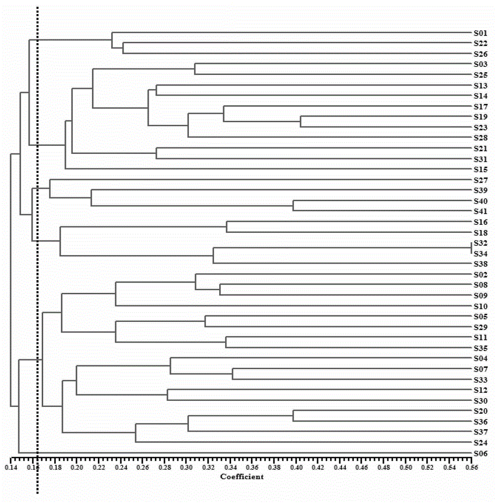 SSR (Simple Sequence Repeat) core primer group developed based on whole genome sequence of foxtail millet and application of SSR core primer group