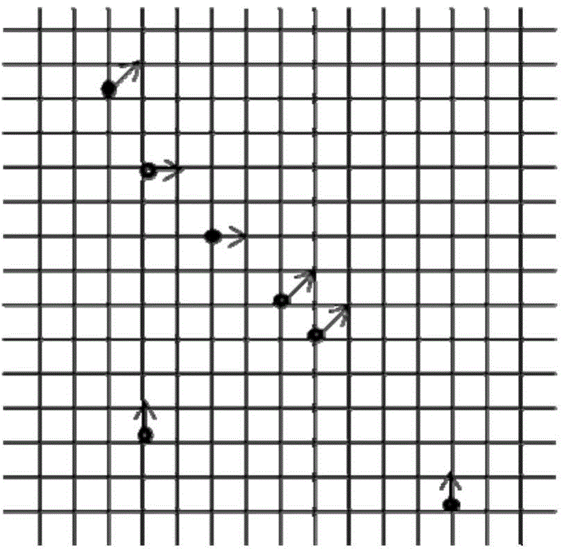 Unmanned aerial vehicle capable of spraying variable amount of pesticide and method