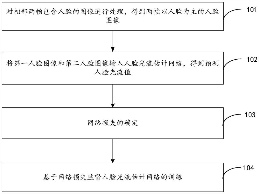 Face optical flow estimation network training and face optical flow estimation method and device