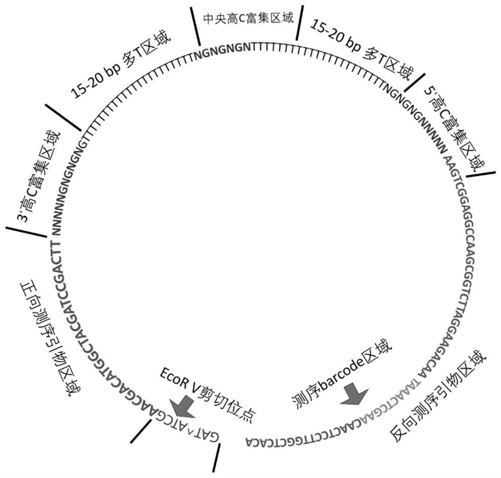 Reagents, enrichment methods and applications for enrichment of highly methylated regions of dna