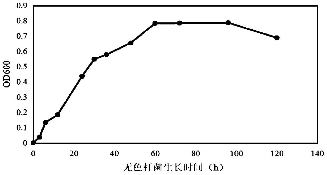 Achromobacter sp. and application thereof to improvement of iron nutrition of peanuts