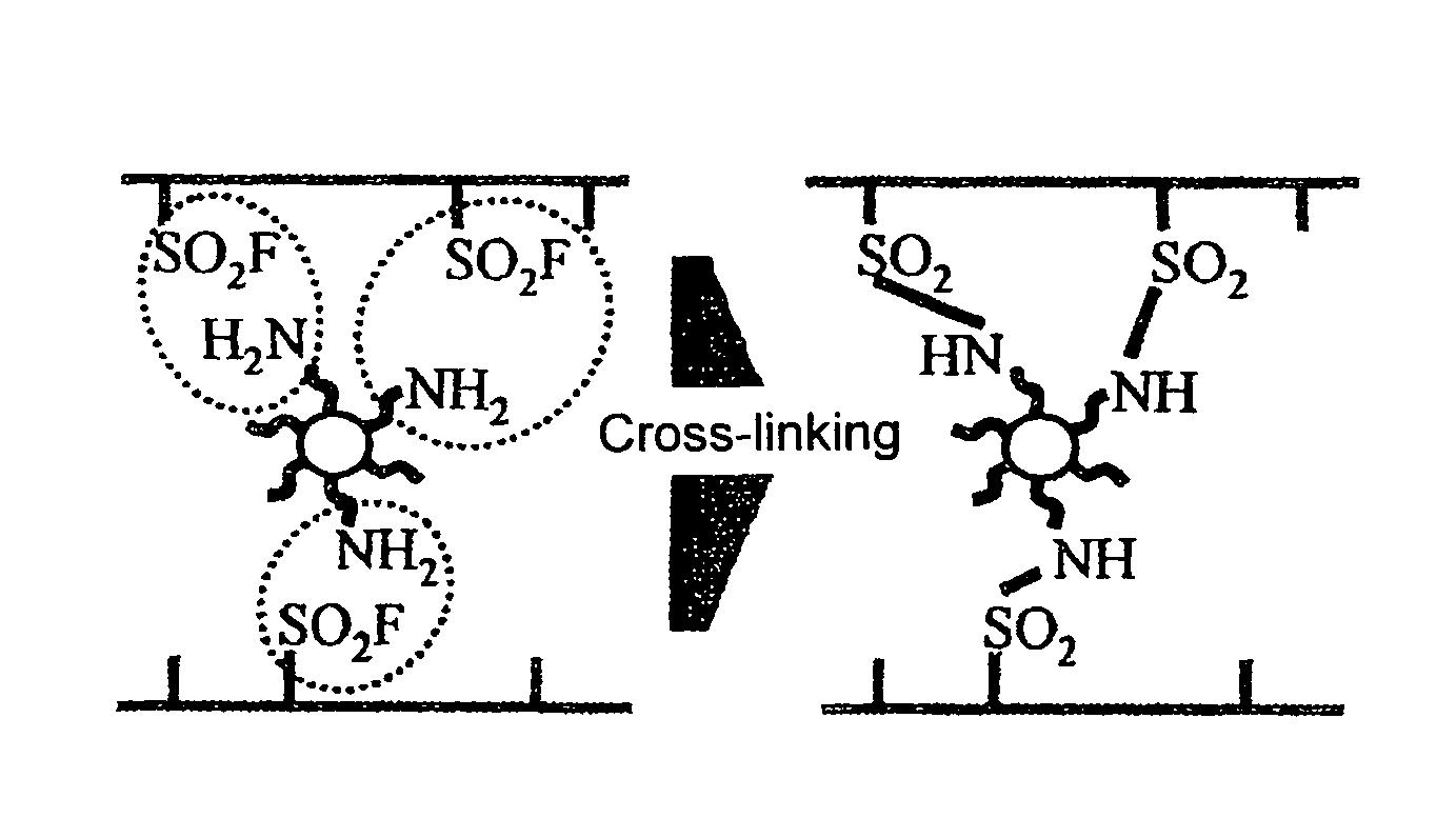 Polymer electrolyte membrane, method for producing polymer electrolyte membrane, and solid polymer fuel cell