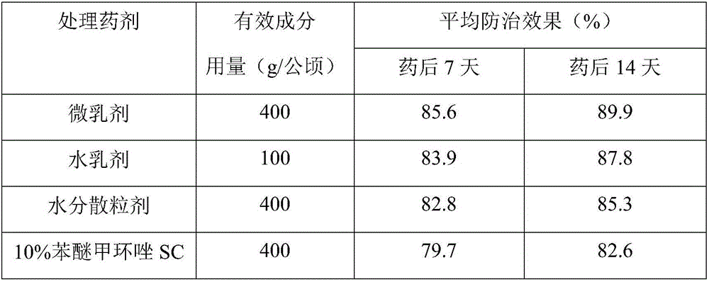 Compound composition containing eugenol and mustard essential oil and application