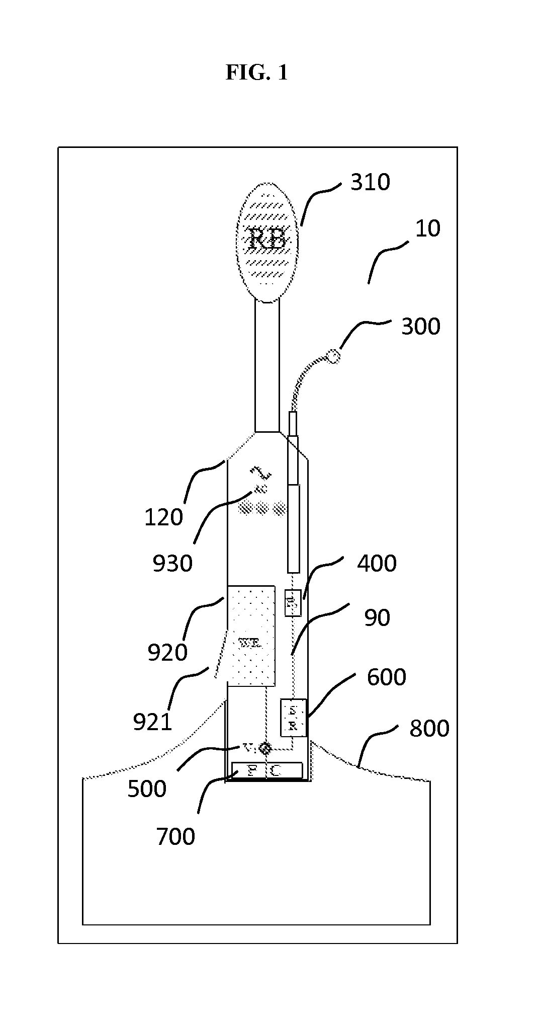 System for saliva collection