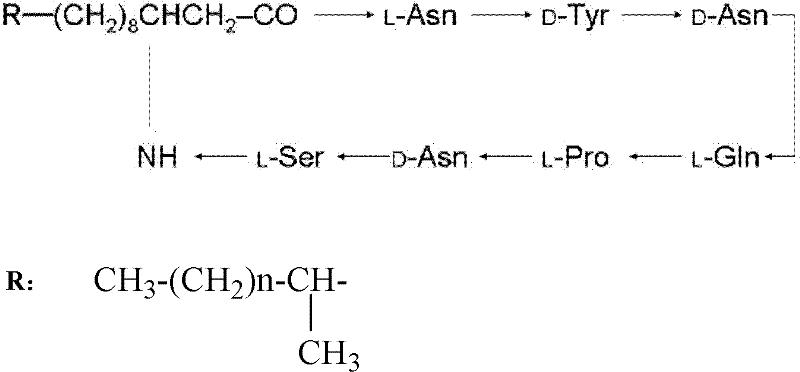 A kind of preparation method of iturin A