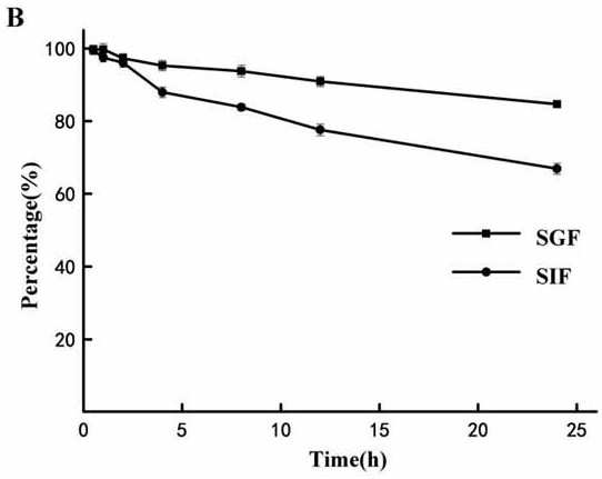 A class of maleimide-type prodrugs with bioadhesive effects and their application in oral drug delivery