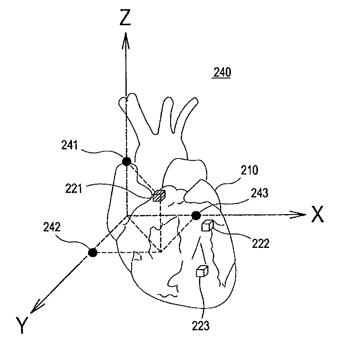 Ultrasound system and method of forming an ultrasound image