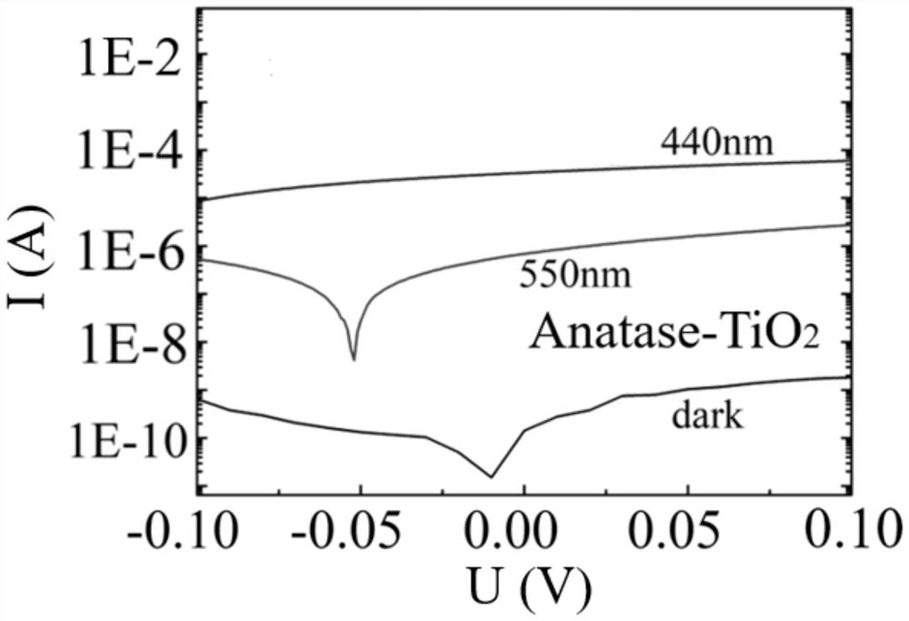 Self-bias photoelectric detector and preparation method and application thereof