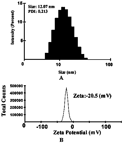 Ginsenoside-warfarin self-assembly nano gel and application thereof