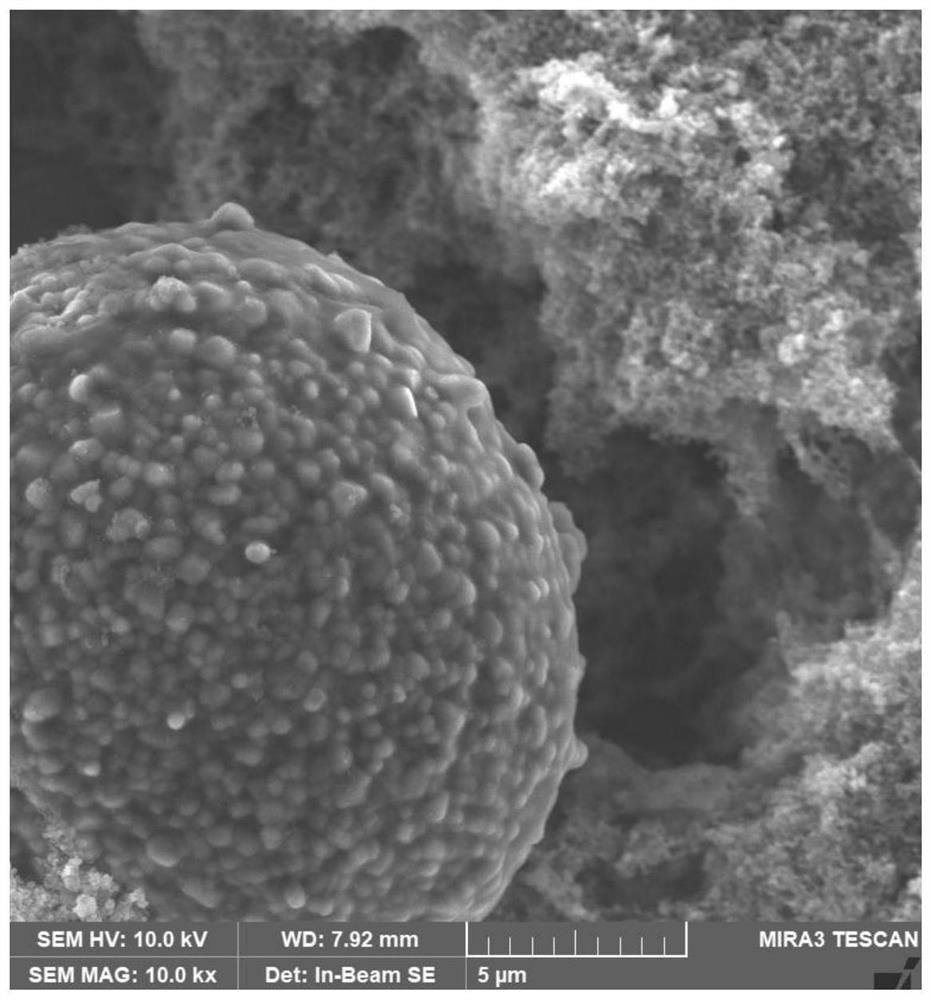 A kind of ternary cathode material coated with organic double layer and its preparation and application