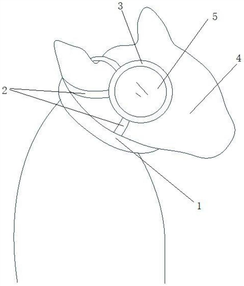 Simple animal myopia induction device and manufacturing method