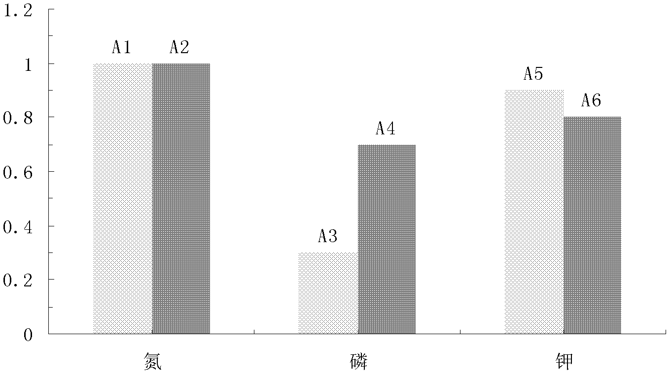 Efficient fertilization method of matching slow/controlled release nitrogenous fertilizer and phosphorus and potassium fertilizer in garlic and corn crop rotation