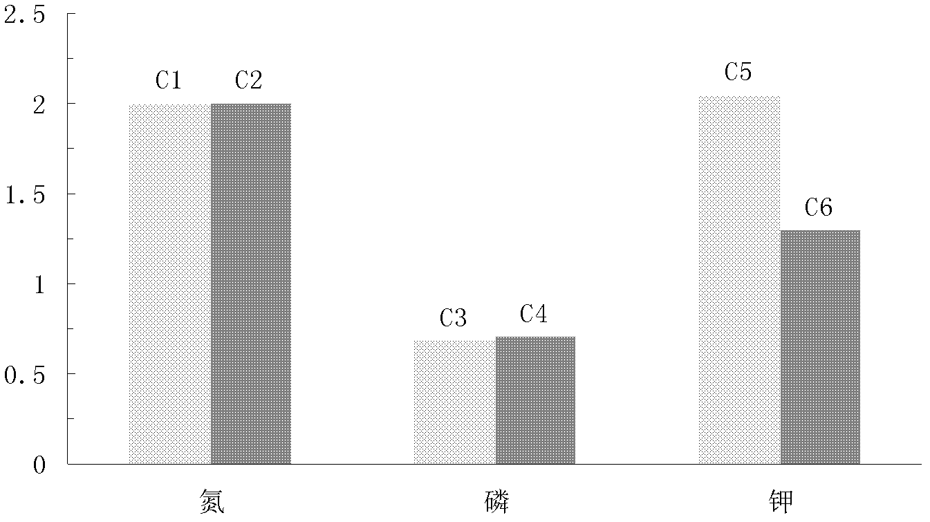 Efficient fertilization method of matching slow/controlled release nitrogenous fertilizer and phosphorus and potassium fertilizer in garlic and corn crop rotation