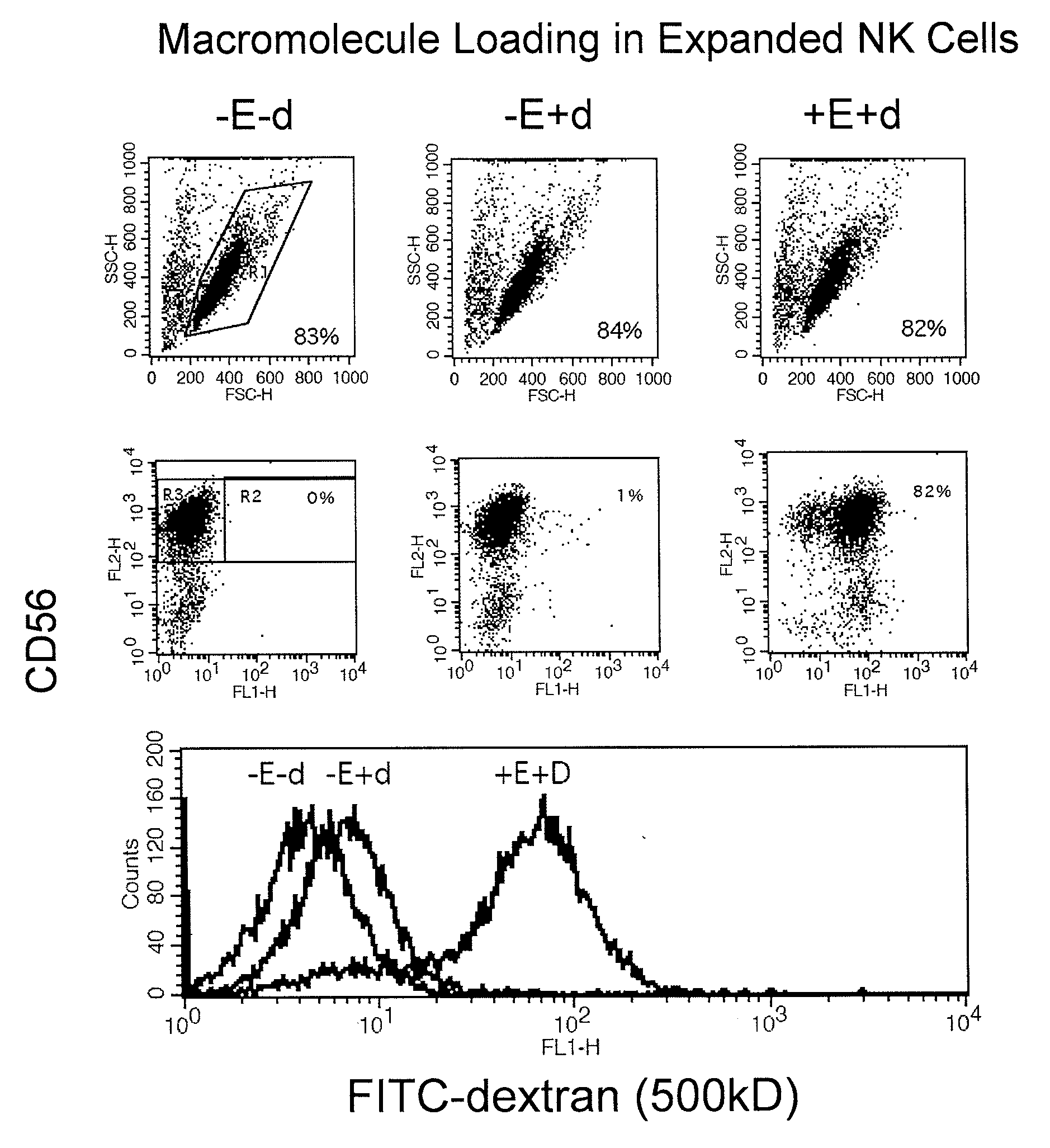 Engineering and Delivery of Therapeutic Compositions of Freshly Isolated Cells