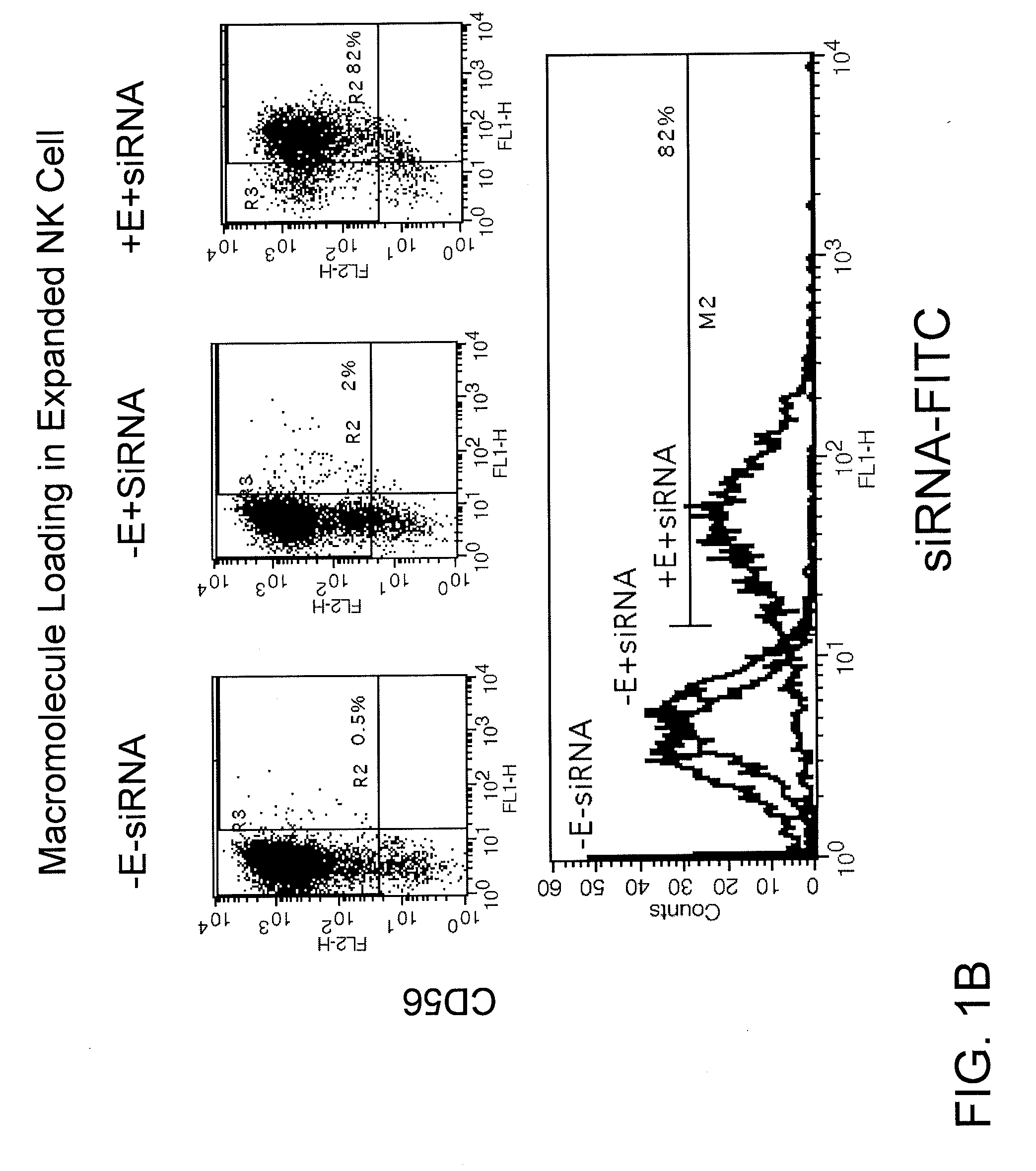 Engineering and Delivery of Therapeutic Compositions of Freshly Isolated Cells