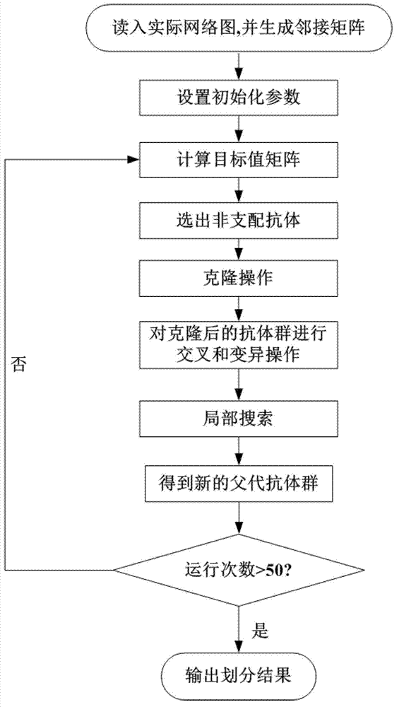 Network community partitioning method based on immune clone multi-objective optimization