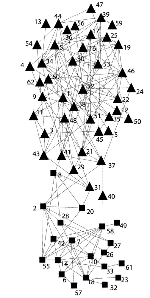 Network community partitioning method based on immune clone multi-objective optimization