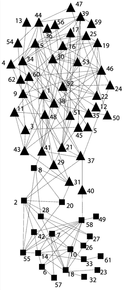 Network community partitioning method based on immune clone multi-objective optimization