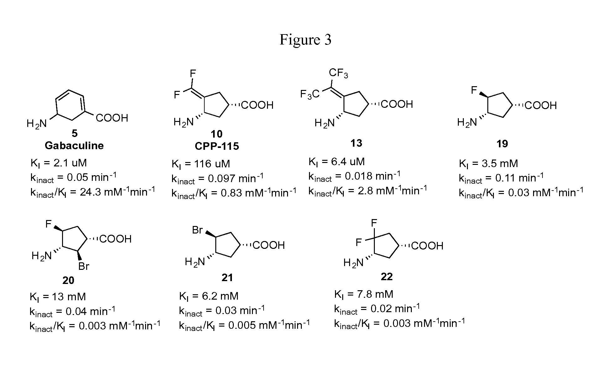 Ornithine Aminotransferase Inhibition with GABA Analogues for Treatment of Hepatocellular Carcinoma