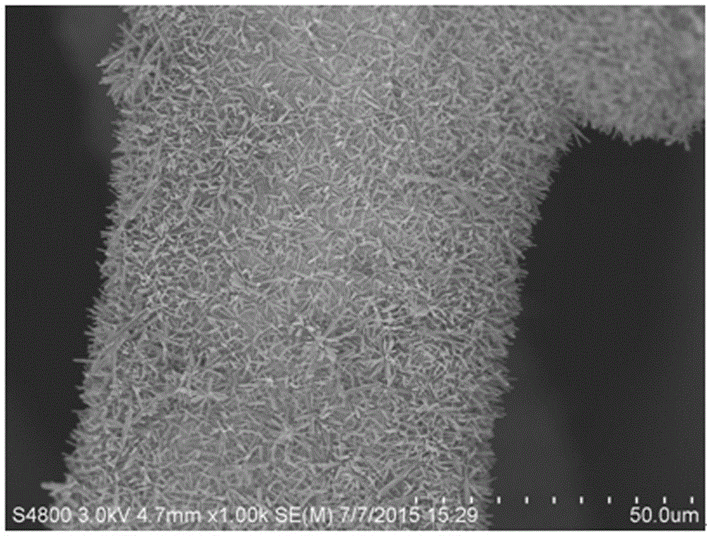 Preparation method of magnesium cobaltate porous micro-rod/ foamed nickel combined electrode material