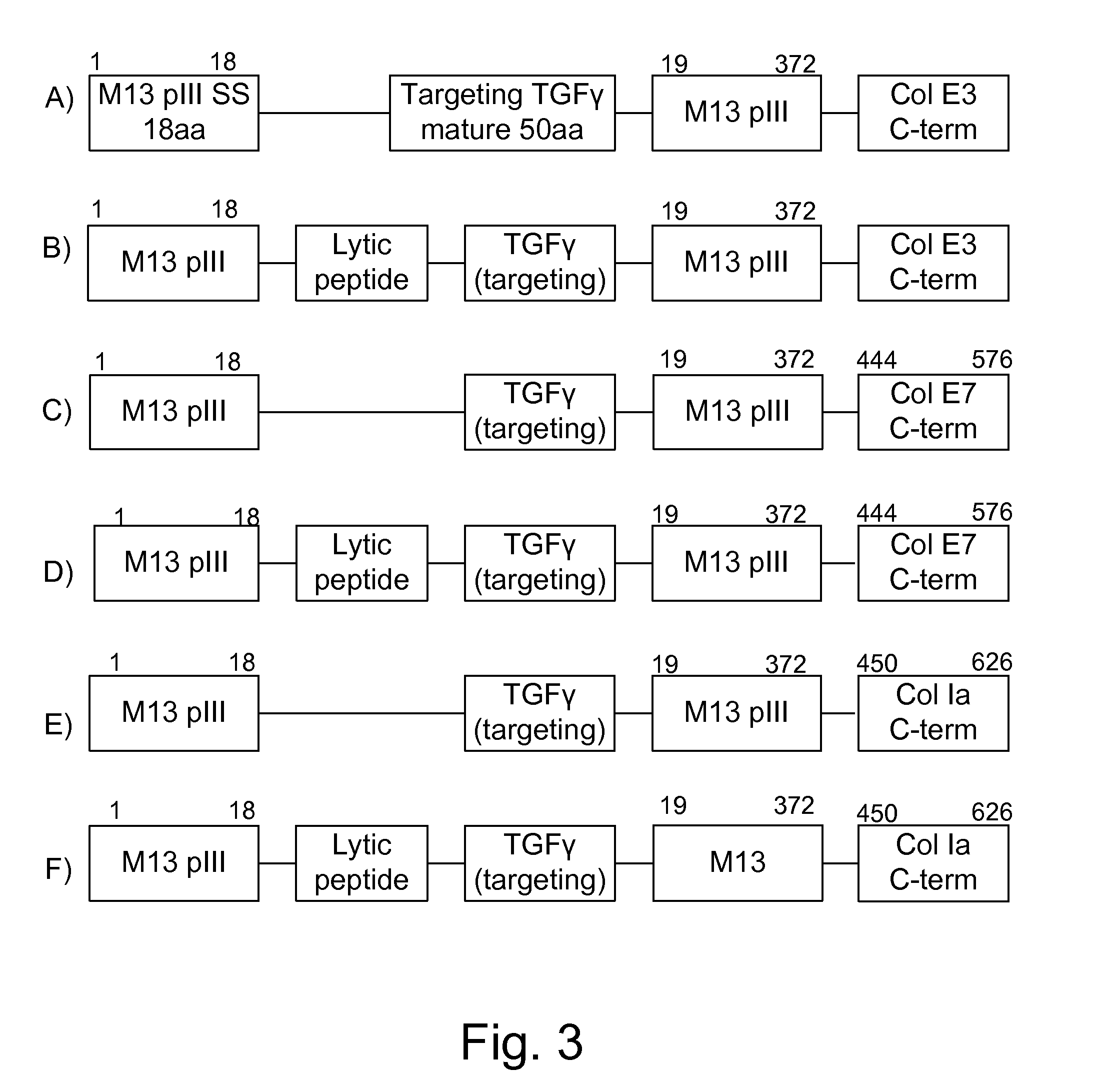 Protease sensitivity expression system