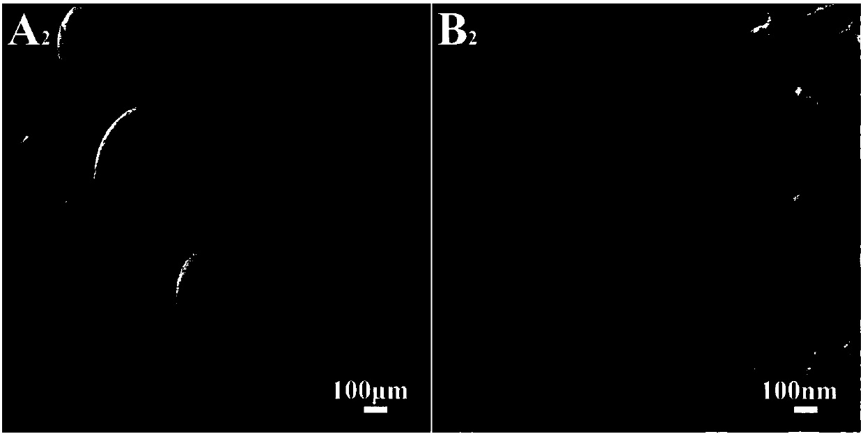 Preparation method of carboxymethylcellulose porous hemostatic microspheres