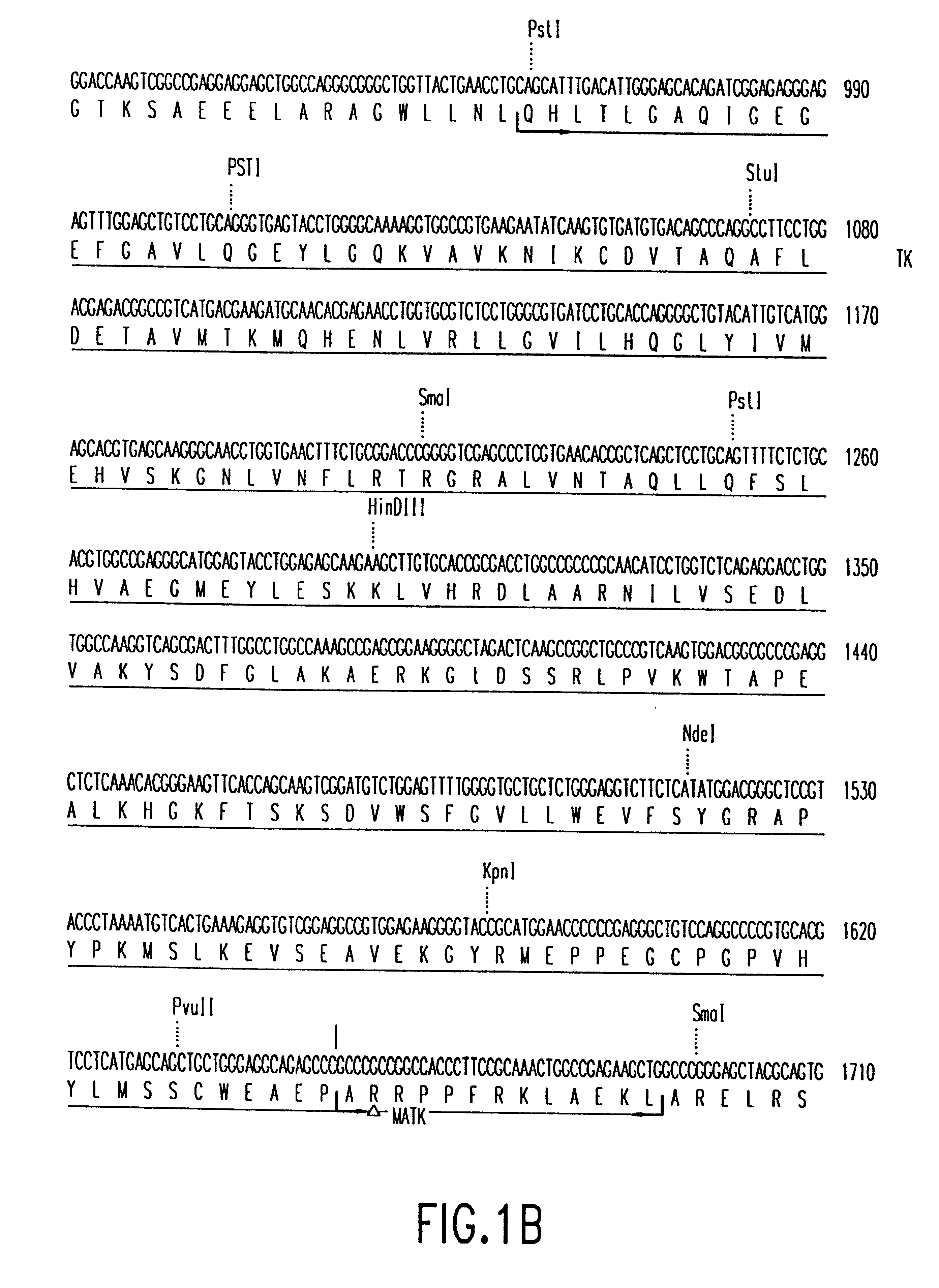 Megakaryocytic protein tyrosine kinases