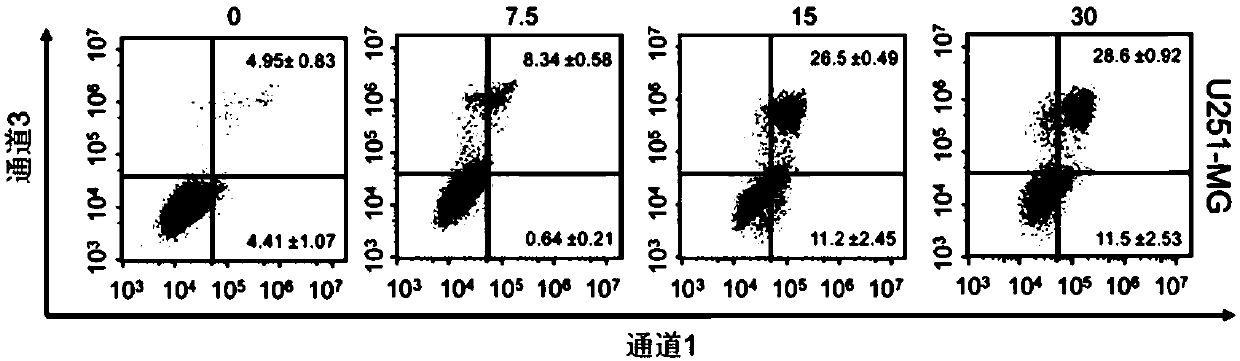 Application of avasimibe in preparation of medicine for preventing or treating glioblastoma