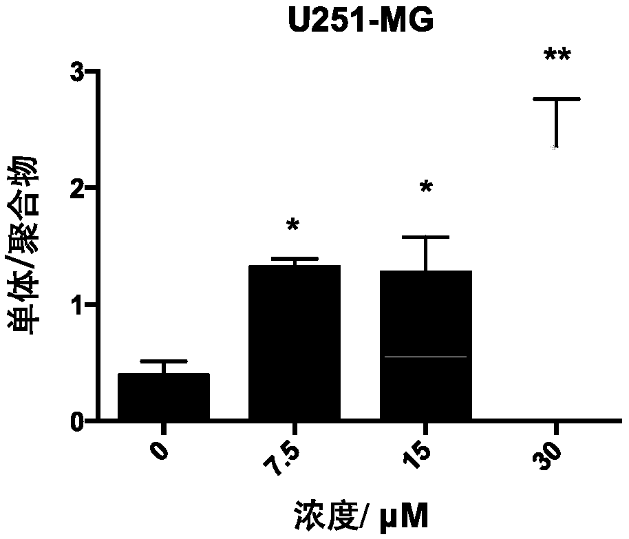 Application of avasimibe in preparation of medicine for preventing or treating glioblastoma