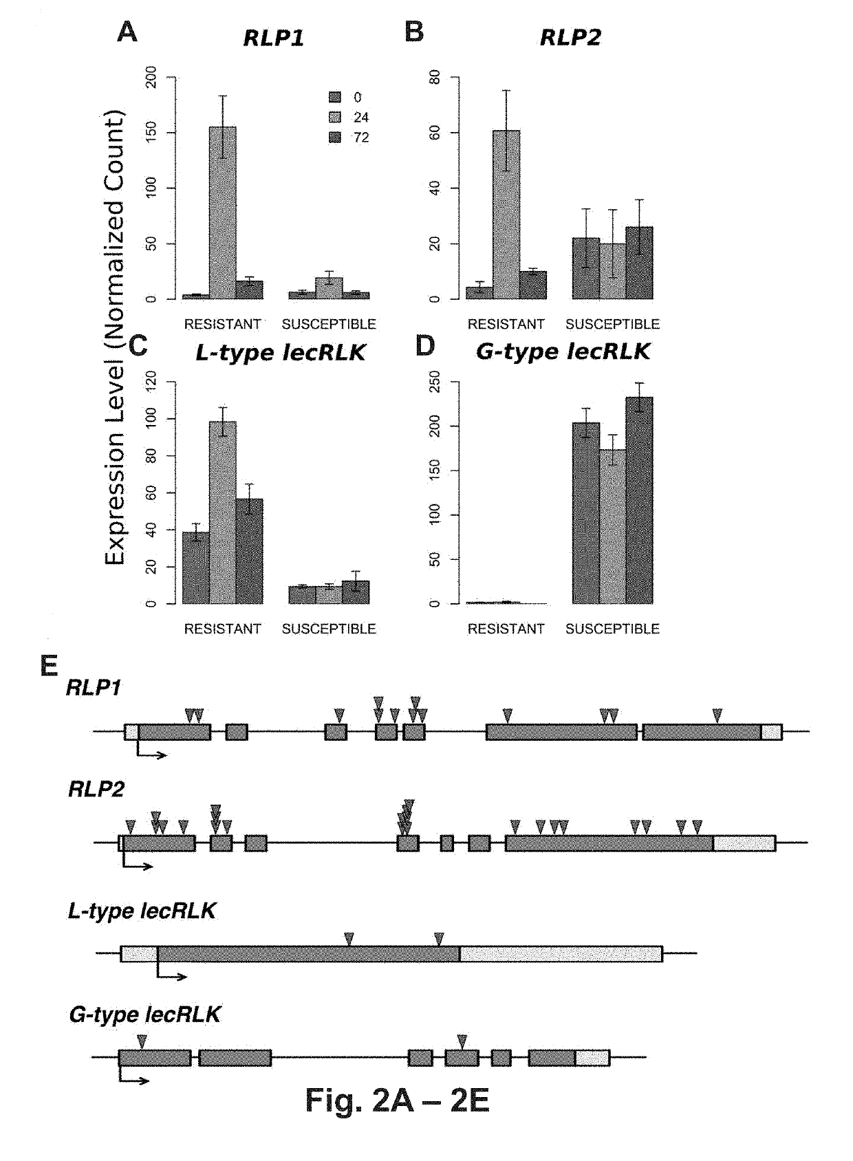 Methods of identifying and modulating pathogen resistance in plants