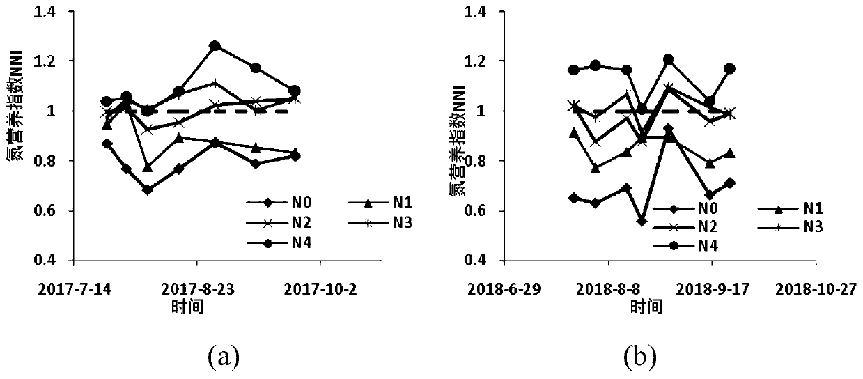 Critical nitrogen concentration-based summer corn nitrogen hyperspectral prediction method