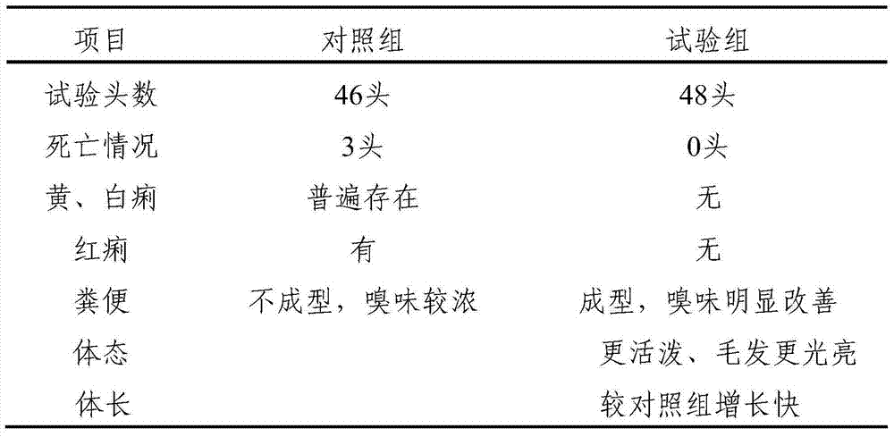 Lactic acid bacteria powder for suckling pigs as well as preparation method and using method thereof