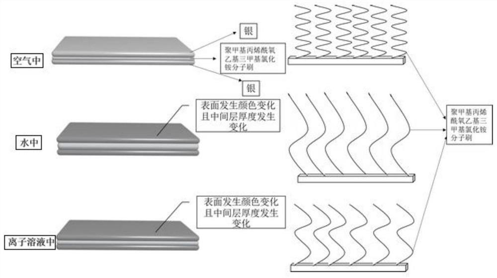 An ion sensor for visually detecting thiocyanate based on color change, its preparation method and application