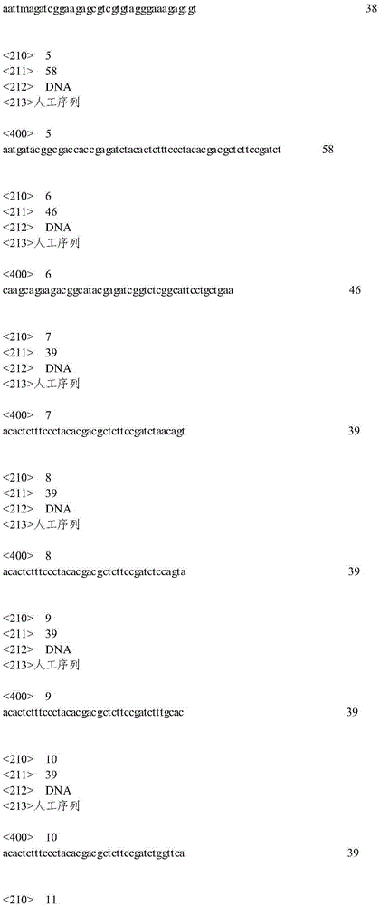 A pig SNP marker site analyzing method based on a sequence-based typing technique